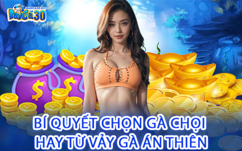 Bí Quyết Chọn Gà Chọi Hay Từ Vảy Gà Án Thiên