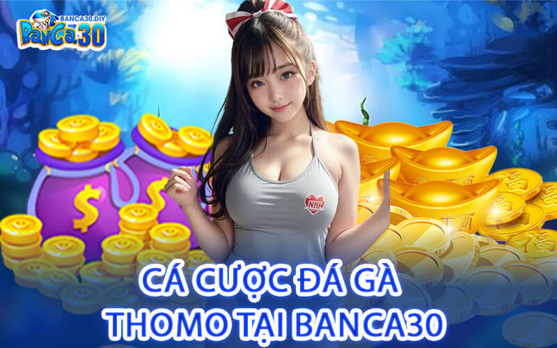 Cá Cược Đá Gà Thomo Tại Banca30