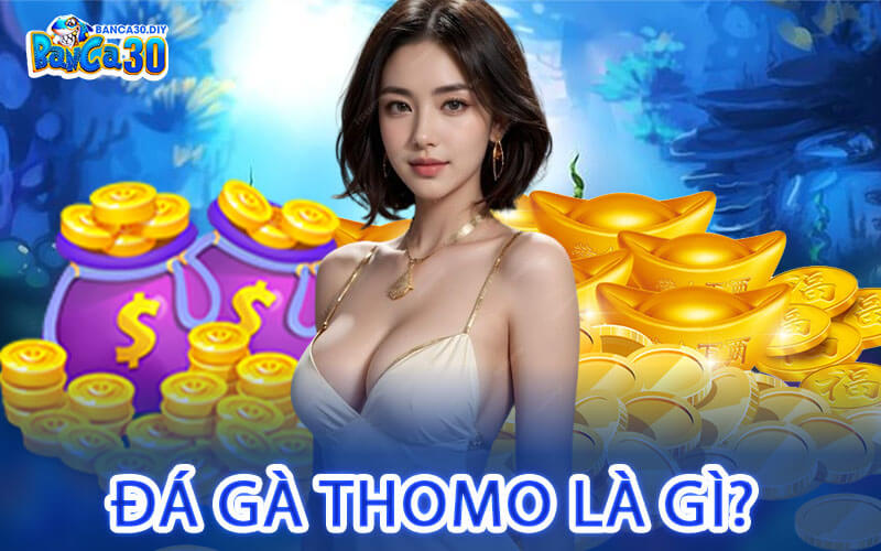 Đá Gà Thomo Là Gì?
