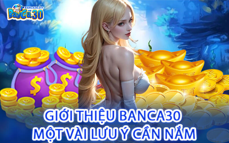 Giới Thiệu Banca30 Một Vài Lưu Ý Cần Nắm