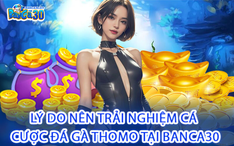 Lý Do Nên Trải Nghiệm Cá Cược Đá Gà Thomo Tại Banca30