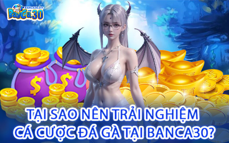Tại Sao Nên Trải Nghiệm Cá Cược Đá Gà Tại Banca30?