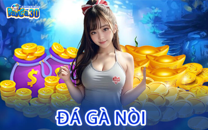 Đá Gà Nòi