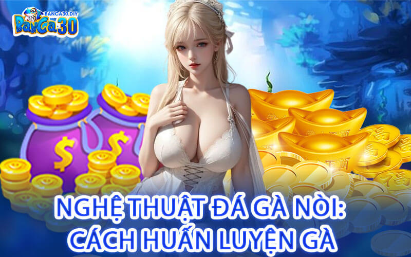 Nghệ Thuật Đá Gà Nòi: Cách Huấn Luyện Gà