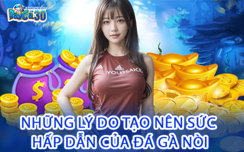 Những Lý Do Tạo Nên Sức Hấp Dẫn Của Đá Gà Nòi