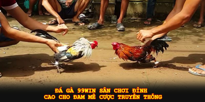 Đá gà 99win sân chơi đỉnh cao cho đam mê cược truyền thống