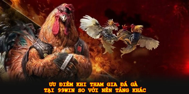 Ưu điểm khi tham gia đá gà tại 99win so với nền tảng khác